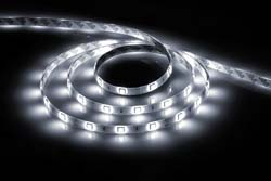 Cветодиодная LED лента Feron LS607, 60SMD(5050)/м 14.4Вт/м  5м IP65 12V 6500К