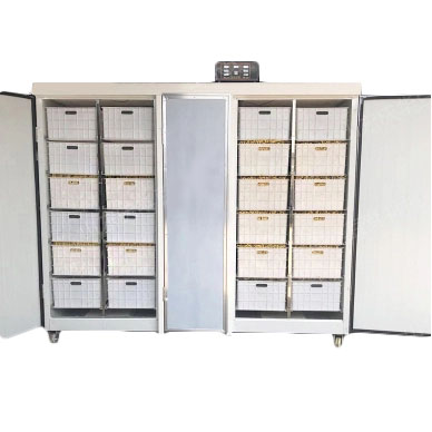 Проращиватель семян, бобов, злаков BSC-400A Foodatlas