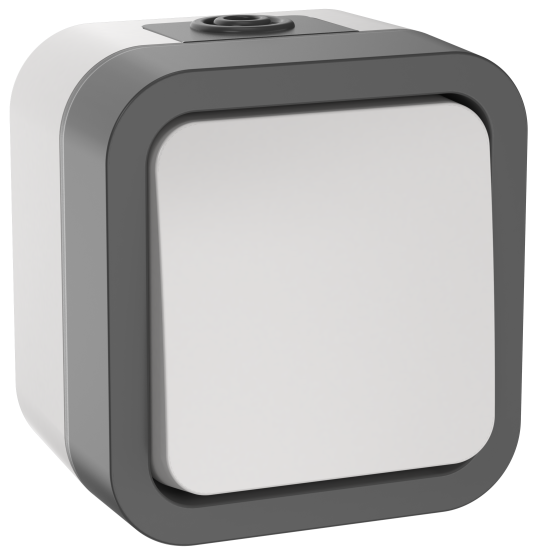 TORS Выключатель кнопочный 10А IP55 TS210 сер-бел IEK