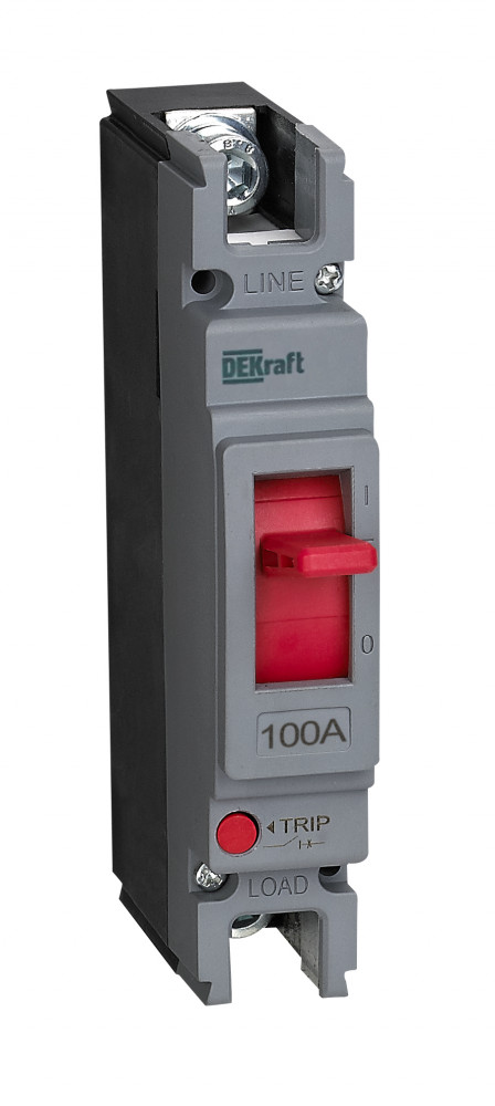 Силовой автоматический выключатель 1P 100A 20кА ВА-301